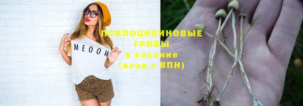 таблы Арсеньев