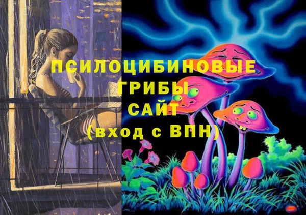 дурь Алексеевка
