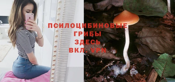 дурь Алексеевка