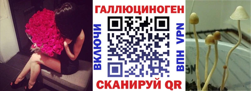 Галлюциногенные грибы MAGIC MUSHROOMS  ссылка на мегу ССЫЛКА  Александровское 